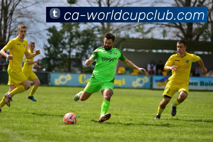 世俱杯线上平台服务体系